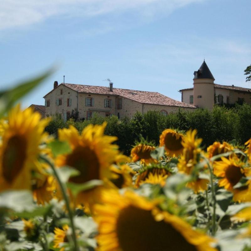 Domaine D'En Naudet Teyssode Exterior photo