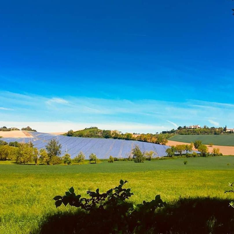 Domaine D'En Naudet Teyssode Exterior photo